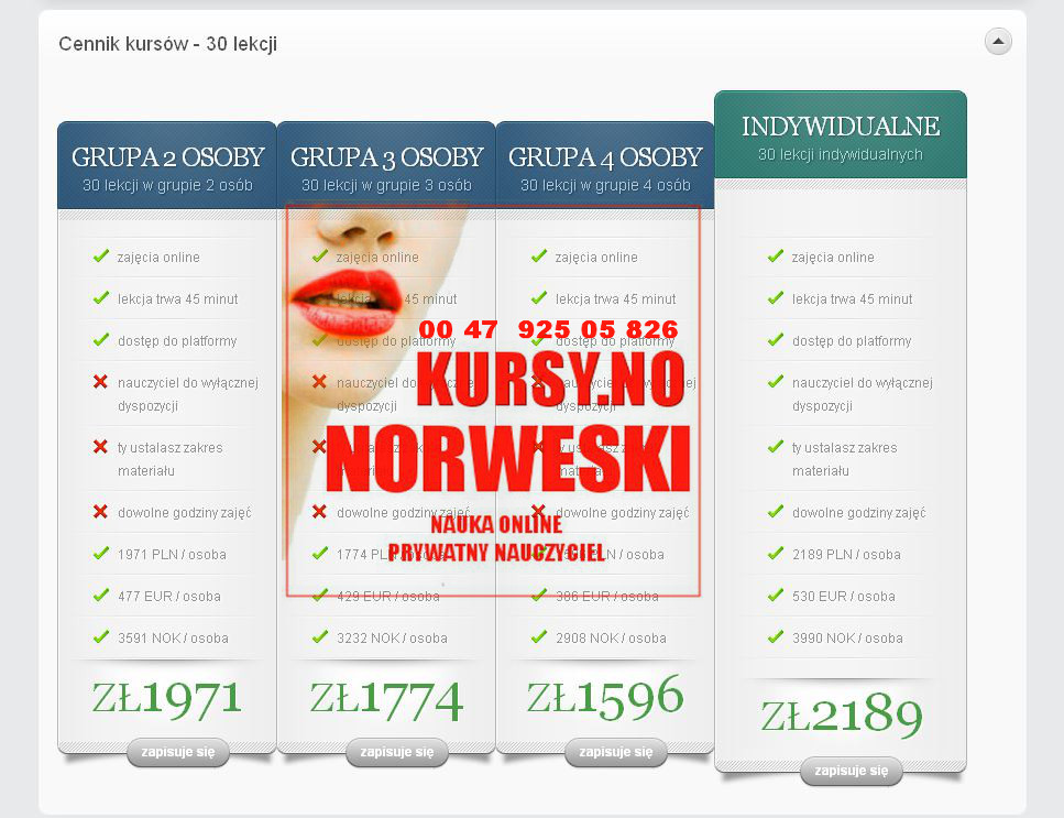tzydzieści lekcji norweskiego przez skype